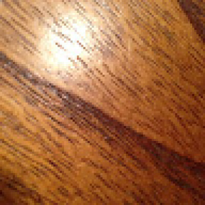 Eleonora  zoekt een Kamer / Huurwoning in Eindhoven